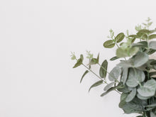Load image into Gallery viewer, Handmade Shower Steamers